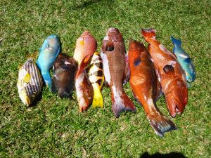 Retour de chasse sous marine août 2015