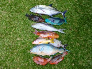 Chasse sous marine août 2015