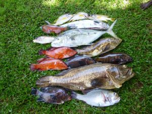 Pêche sous marine mars 2015