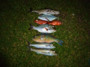 Pêche sous marine mars 2015