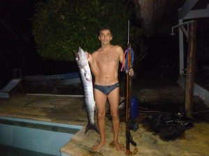 Retour de pêche, avril 2016, barracuda