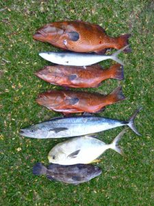 Chasse septembre 2016