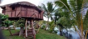 Cabane le Mérou d'Or