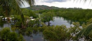 Vue terrasse de la cabane